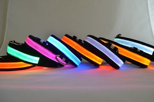 LED Flashing Dog Collar – Waterproof Night Visibility