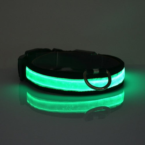 LED Flashing Dog Collar – Waterproof Night Visibility