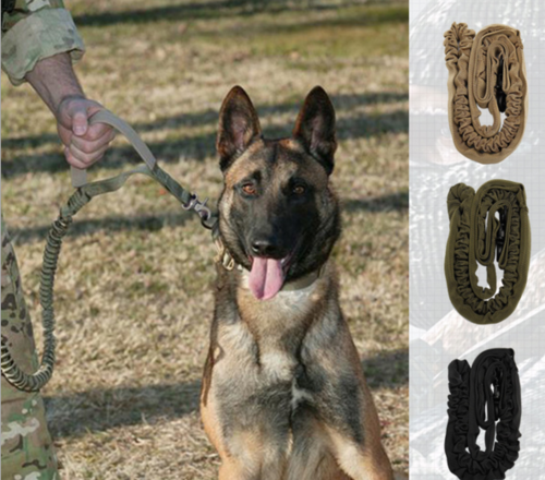 Reflective Dog Leash – High-Visibility Safety Leash for Night Walks