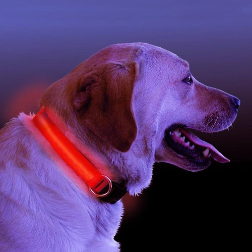 LED Flashing Dog Collar – Waterproof Night Visibility