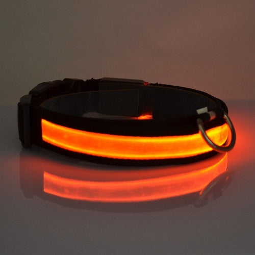 LED Flashing Dog Collar – Waterproof Night Visibility