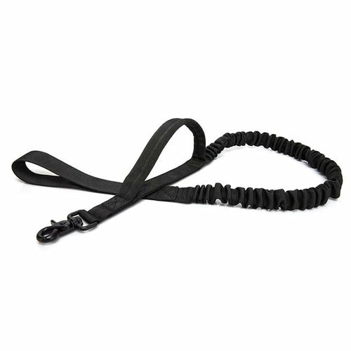 Reflective Dog Leash – High-Visibility Safety Leash for Night Walks