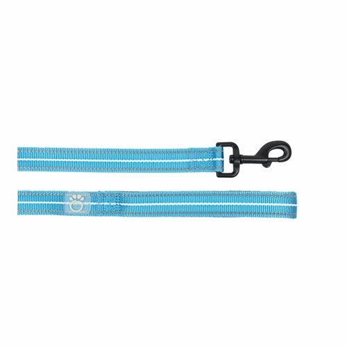 Night-Safe Reflective Dog Leash – Neon Blue