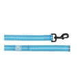 Night-Safe Reflective Dog Leash – Neon Blue