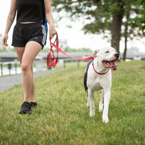 Bold Red Reflective Dog Leash – Safety Walk