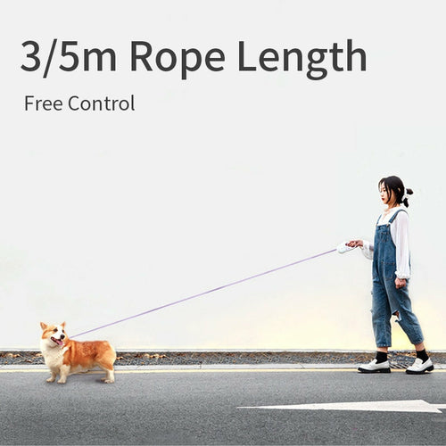 Retractable LED Dog Leash – Auto Extending Light-Up Leash for Night Walks