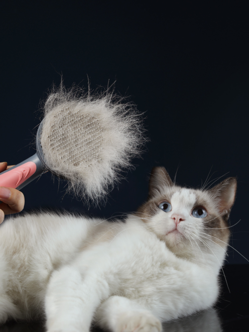 Self-Cleaning Grooming Brush – Massage Comb for Cats & Dogs